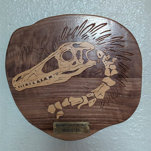 Wooden fossil art of Rhamphorhynchus muensteri carved in walnut and maple. Handmade paleontology decor